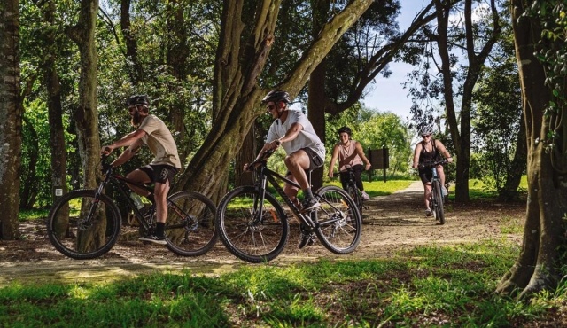 Mountainbike clinic + tocht over de Utrechtse Heuvelrug