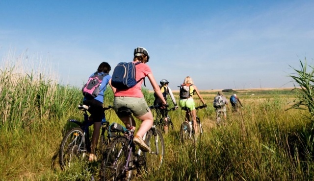 Mountainbike clinic + tocht over de Utrechtse Heuvelrug